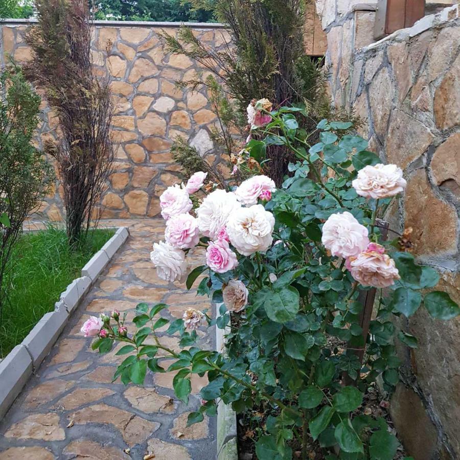 Apartment Little Paradise Visoko Buitenkant foto